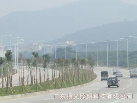 東莞環湖路道路照明工程